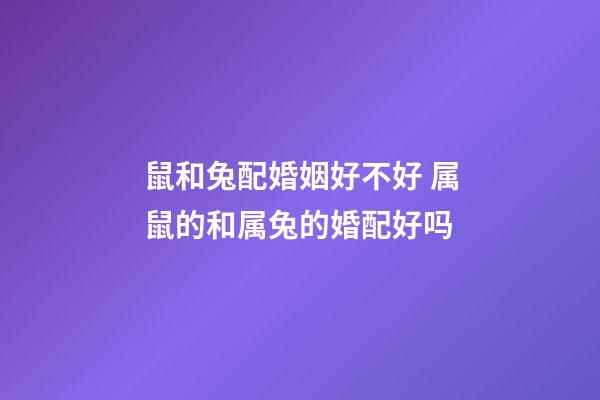 鼠和兔配婚姻好不好 属鼠的和属兔的婚配好吗-第1张-观点-玄机派